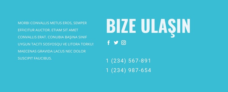 Destek ekibimizle iletişime geçin Web Sitesi Oluşturucu Şablonları