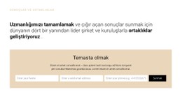 Başlık Ve Form Temel CSS Şablonu