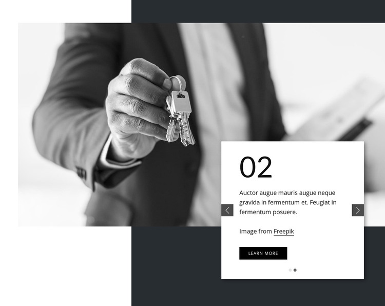 Slider on grayscale image HTML Template