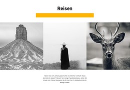 Responsive HTML Für Wildtiergalerie