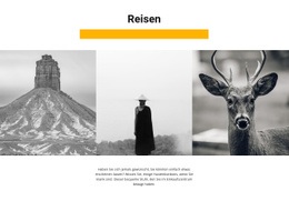 Wildtiergalerie #Website-Design-De-Seo-One-Item-Suffix