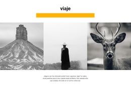 Galería De Vida Salvaje - HTML Writer