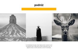 Galeria Dzikiej Przyrody - Responsywny Szablon HTML5