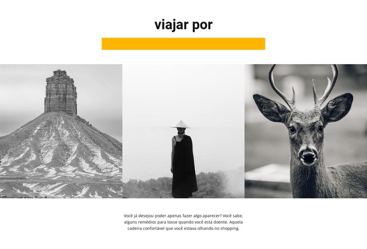 Galeria da vida selvagem Template CSS