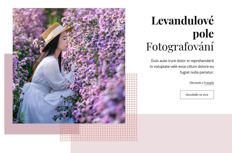 Fotografování levandulového pole Šablona CSS