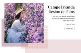 Diseño De Sitio Web Para Sesión De Fotos De Campo De Lavanda