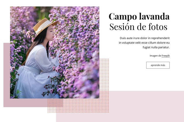 Sesión de fotos de campo de lavanda Plantilla HTML5