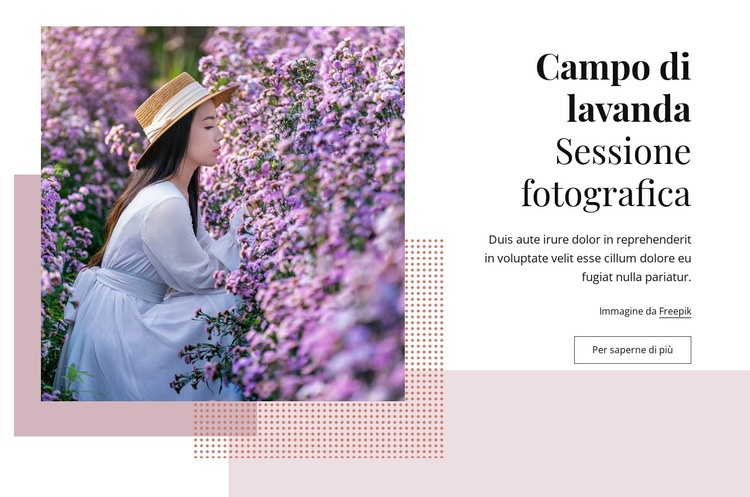 Sessione fotografica di campo di lavanda Modelli di Website Builder