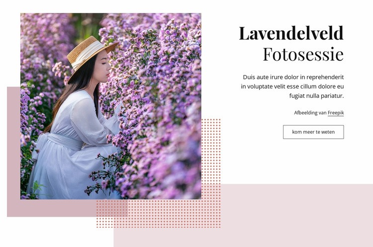 Lavendelveld fotosessie Sjabloon voor één pagina
