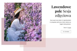 Sesja Zdjęciowa W Lawendowym Polu - Pobranie Szablonu HTML