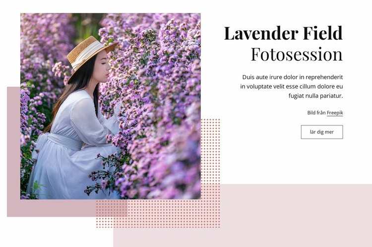 Lavendelfältfotosession CSS -mall