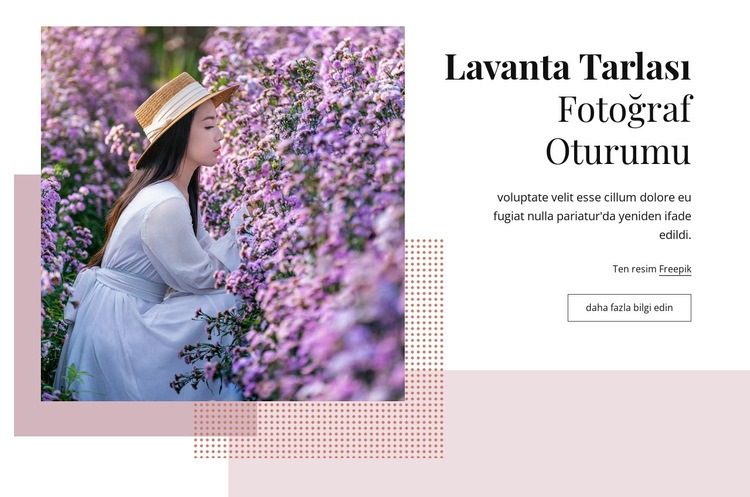 Lavanta alan fotoğraf oturumu Açılış sayfası