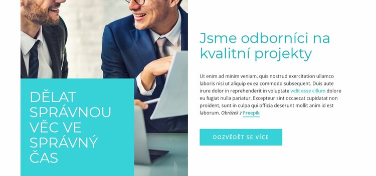 Odborné poradenství Šablona CSS