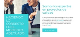 Creador De Sitios Web Listo Para Usar Para Consultoría Experta