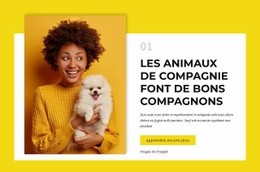 Propriétaires De Chiens - Conception Créative De Sites Polyvalents