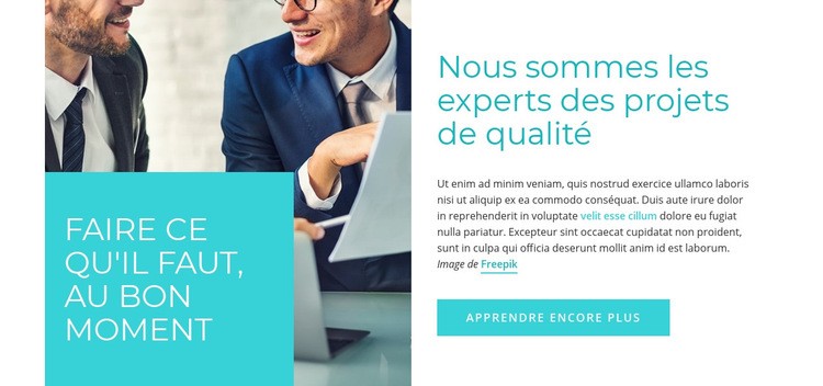 Conseil d'experts Maquette de site Web