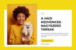 Kutyatulajdonosok – Weboldal Tervezés