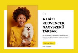 Bootstrap Témaváltozatok A Következőhöz: Kutyatulajdonosok