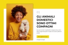 Proprietari Di Cani