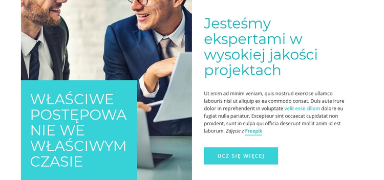 Doradztwo eksperckie Motyw WordPress