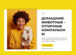 Владельцы Собак - Креативный Многофункциональный Дизайн Сайта