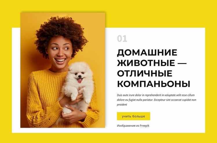 Владельцы собак Дизайн сайта