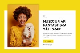 Ägare Av Hundar - Kreativ Mångsidig Webbplatsdesign