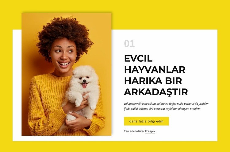 köpek sahipleri Web Sitesi Mockup'ı