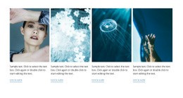 Conception De Sites Web Style Marin Pour N'Importe Quel Appareil