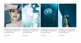 Style Marin - Maquette De Site Web Ultime