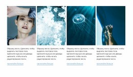 Дизайн Сайта Морской Стиль Для Любого Устройства