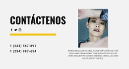 160 Contactos Plantillas CSS