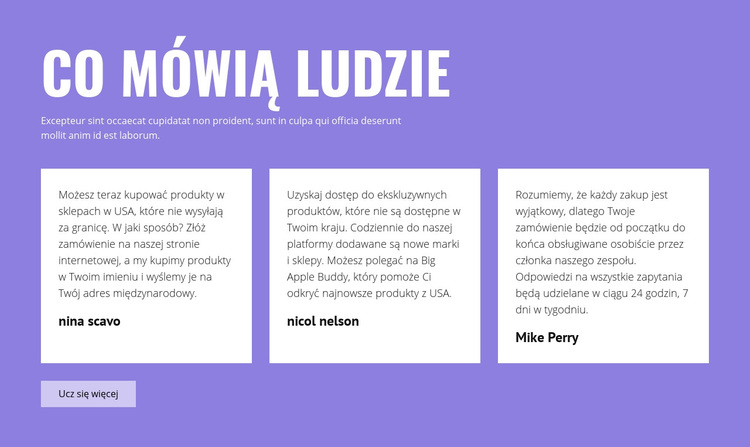 Pozytywne opinie Motyw WordPress