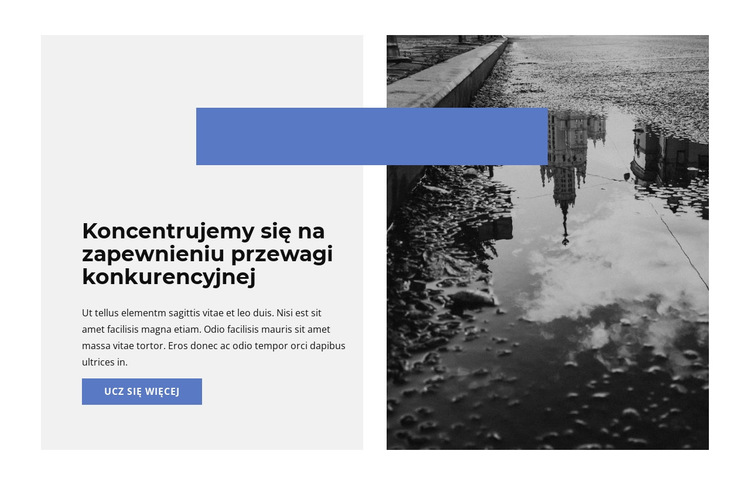 Skupienie się na podstawach Szablon witryny sieci Web