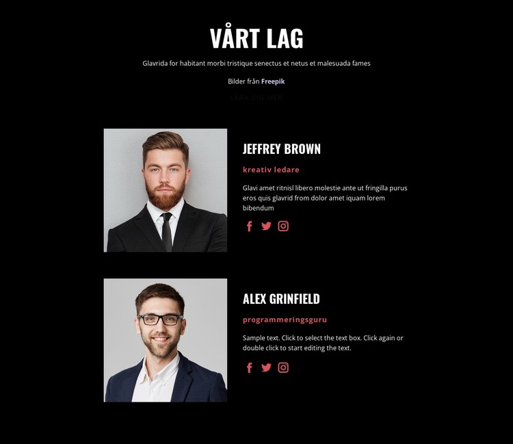 Vi skapar lösningar WordPress -tema