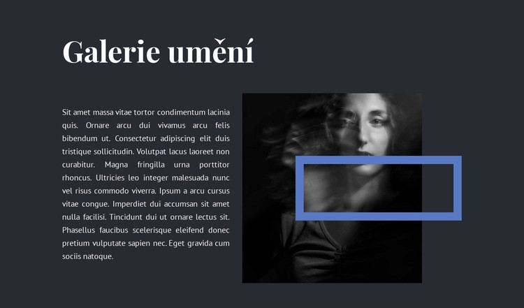 Výstava v nové galerii Šablona HTML