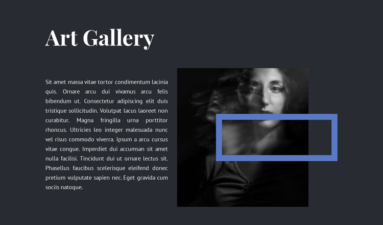 Exhibition at the new gallery Joomla Page Builder