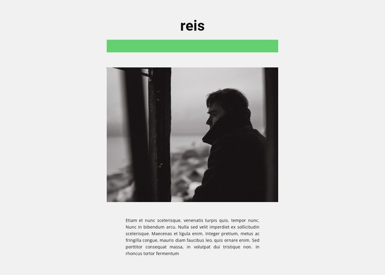 Reis met plezier Website ontwerp