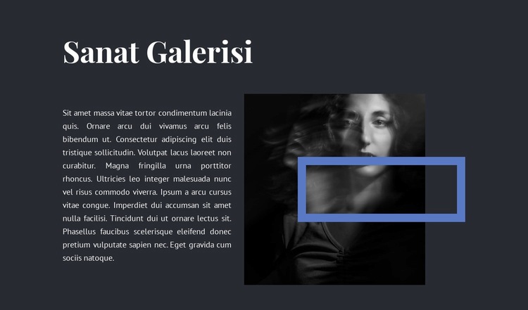 Yeni galeride sergi Web sitesi tasarımı