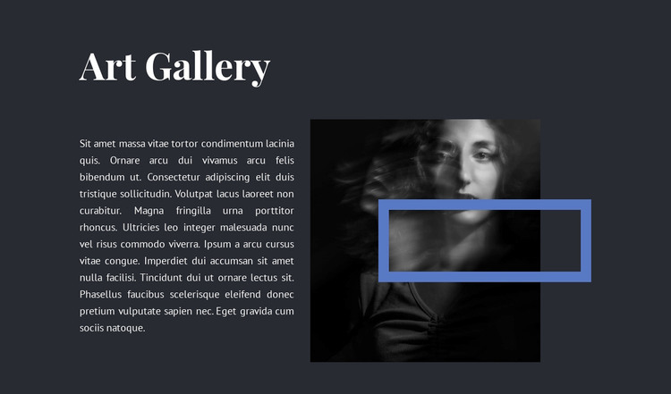 Exhibition at the new gallery WordPress Theme