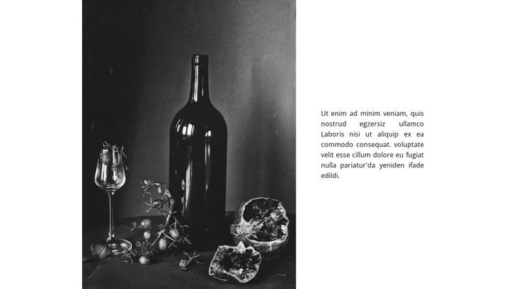 Şarap Evi Bir Sayfa Şablonu