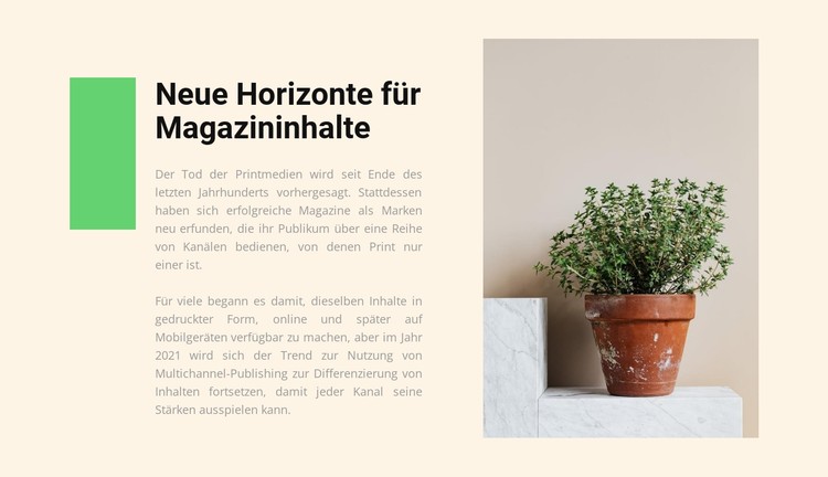 Home-Shop CSS-Vorlage