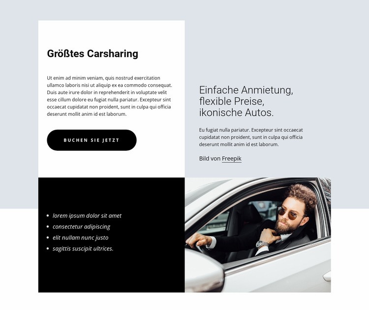 Largest car-sharing Website-Modell