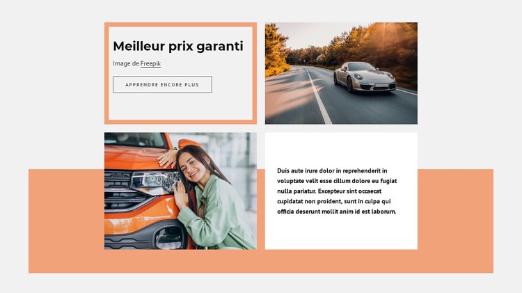 Best price garanteed Modèle HTML5