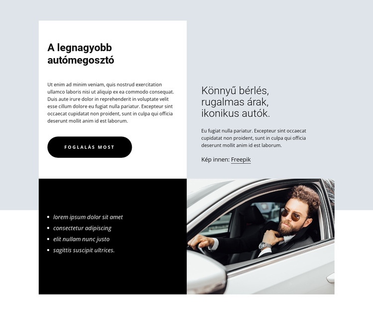 Largest car-sharing WordPress Téma