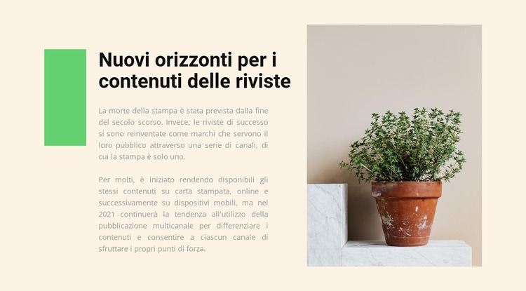 Negozio di casa Modelli di Website Builder