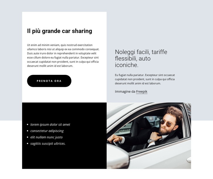 Largest car-sharing Un modello di pagina