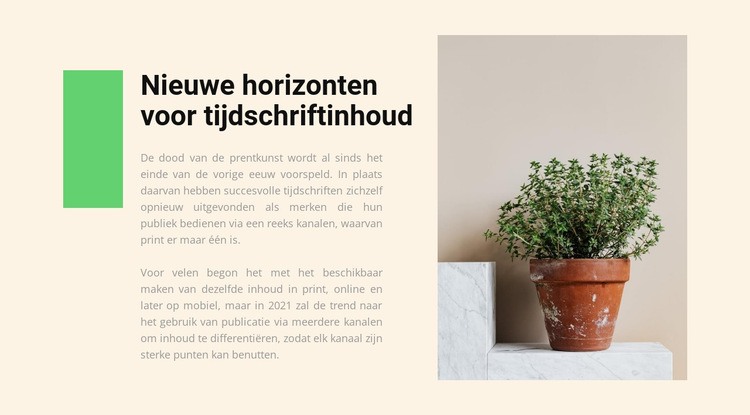 Thuiswinkel Website ontwerp