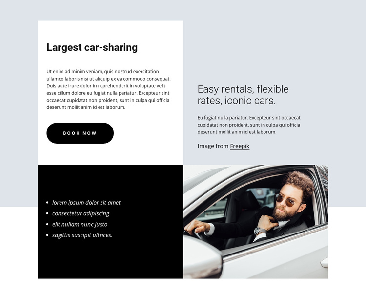 Largest car-sharing One Page Template