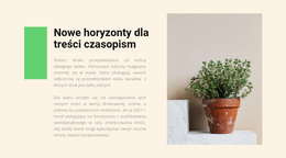 Sklep Domowy - Nowoczesny Motyw WordPress